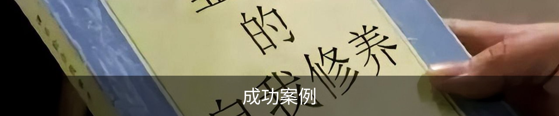 成功案例